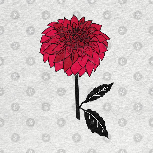 Red Dahlia Flower by bloomingviolets